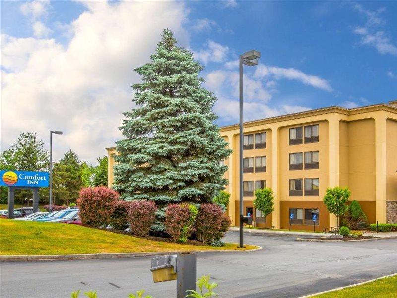 Comfort Latham/albany North 3*